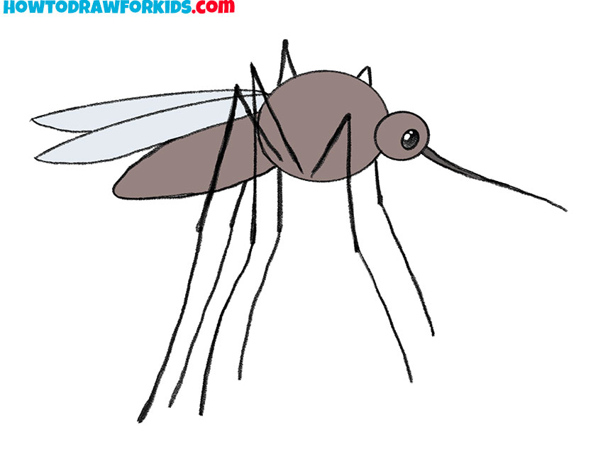 mosquito drawing for beginners
