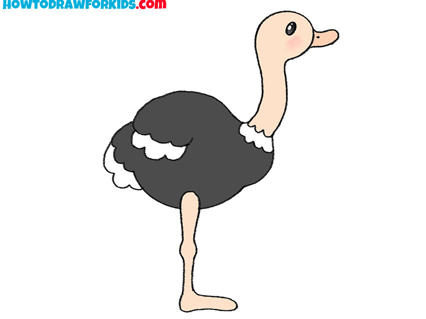Page Shows How To Learn Step by Step To Draw a Cute Ostrich. Developing  Children Skills for Drawing and Coloring. Stock Vector - Illustration of  exercise, sample: 120740097