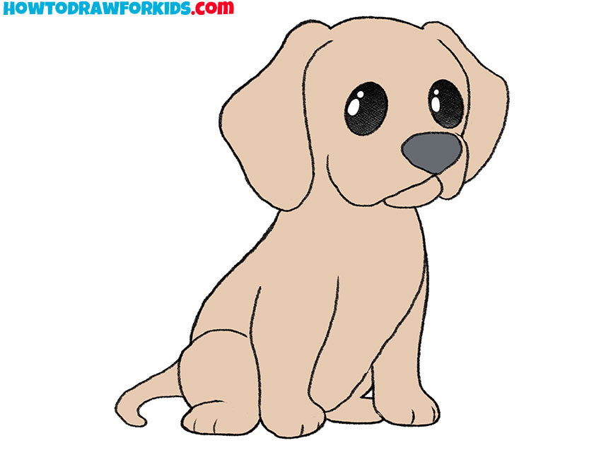 How To Draw A Cute Cartoon Dog Step By Step   9 Sitting Cartoon Dog Drawing Guide 