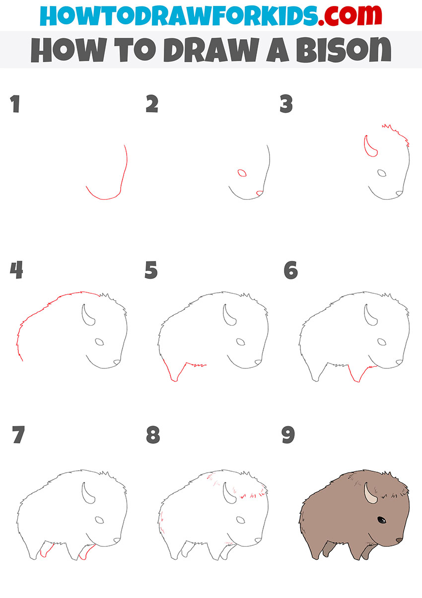 how to draw a bison step by step