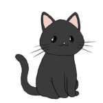 How to Draw a Black Cat