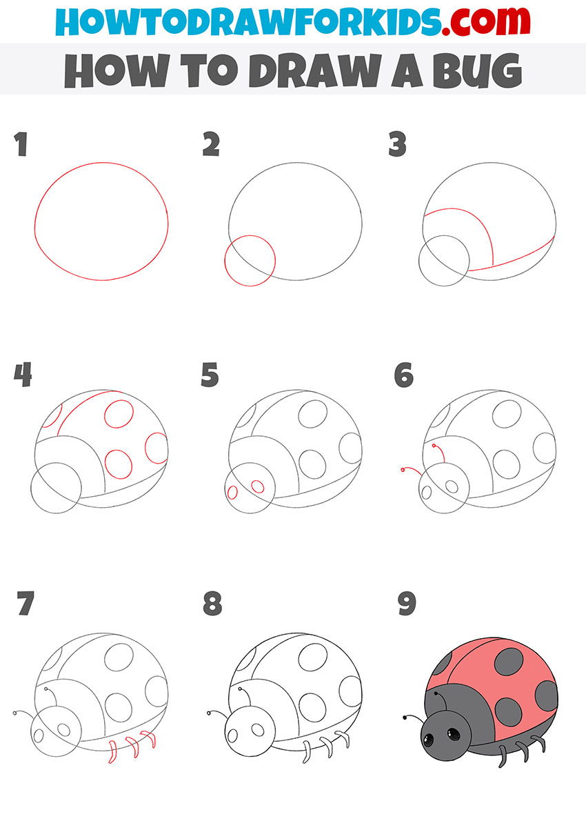 how to draw a bug step by step