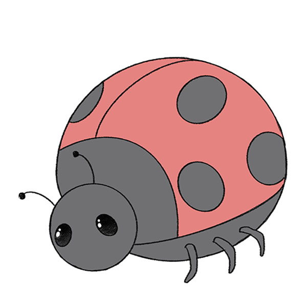 How to Draw a Bug