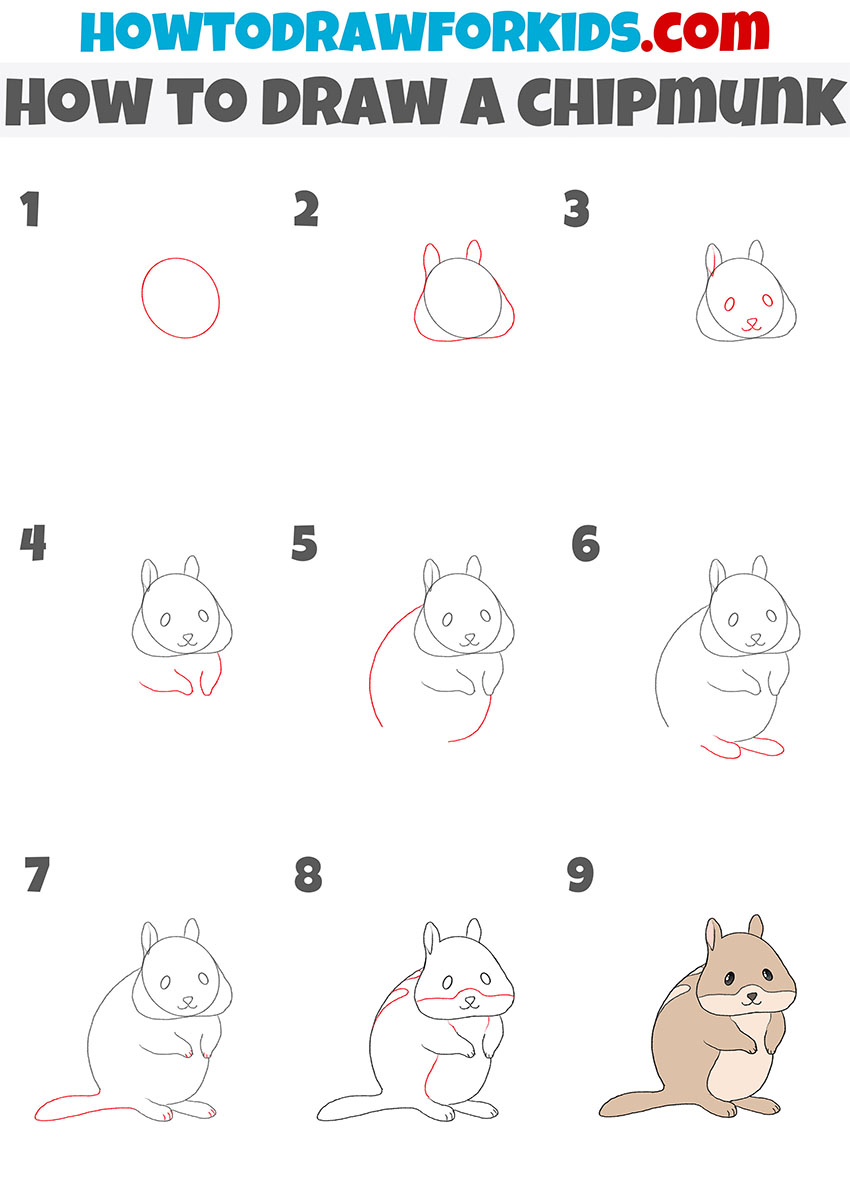 how to draw a chipmunk step by step