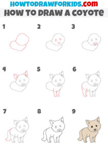 How to Draw a Coyote - Easy Drawing Tutorial For Kids
