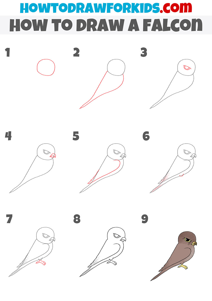 how to draw a falcon step by step