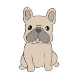 How to Draw a French Bulldog