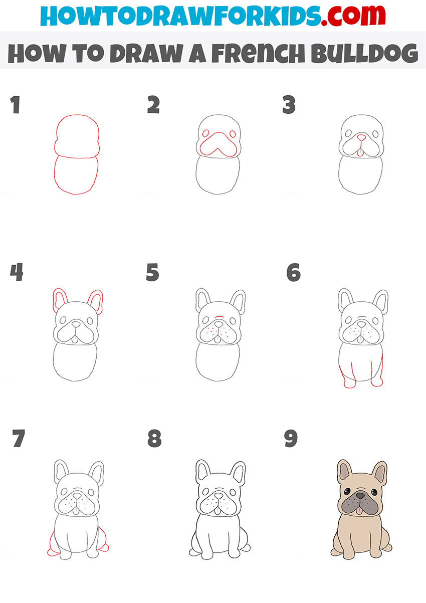 How to Draw a French Bulldog - Easy Drawing Tutorial For Kids