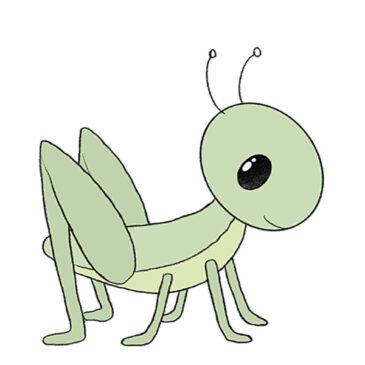 How to Draw a Grasshopper