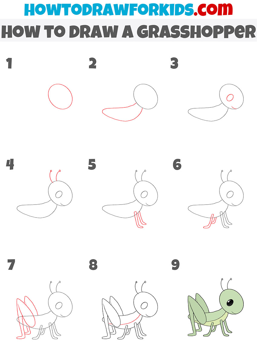 how to draw a grasshopper step by step