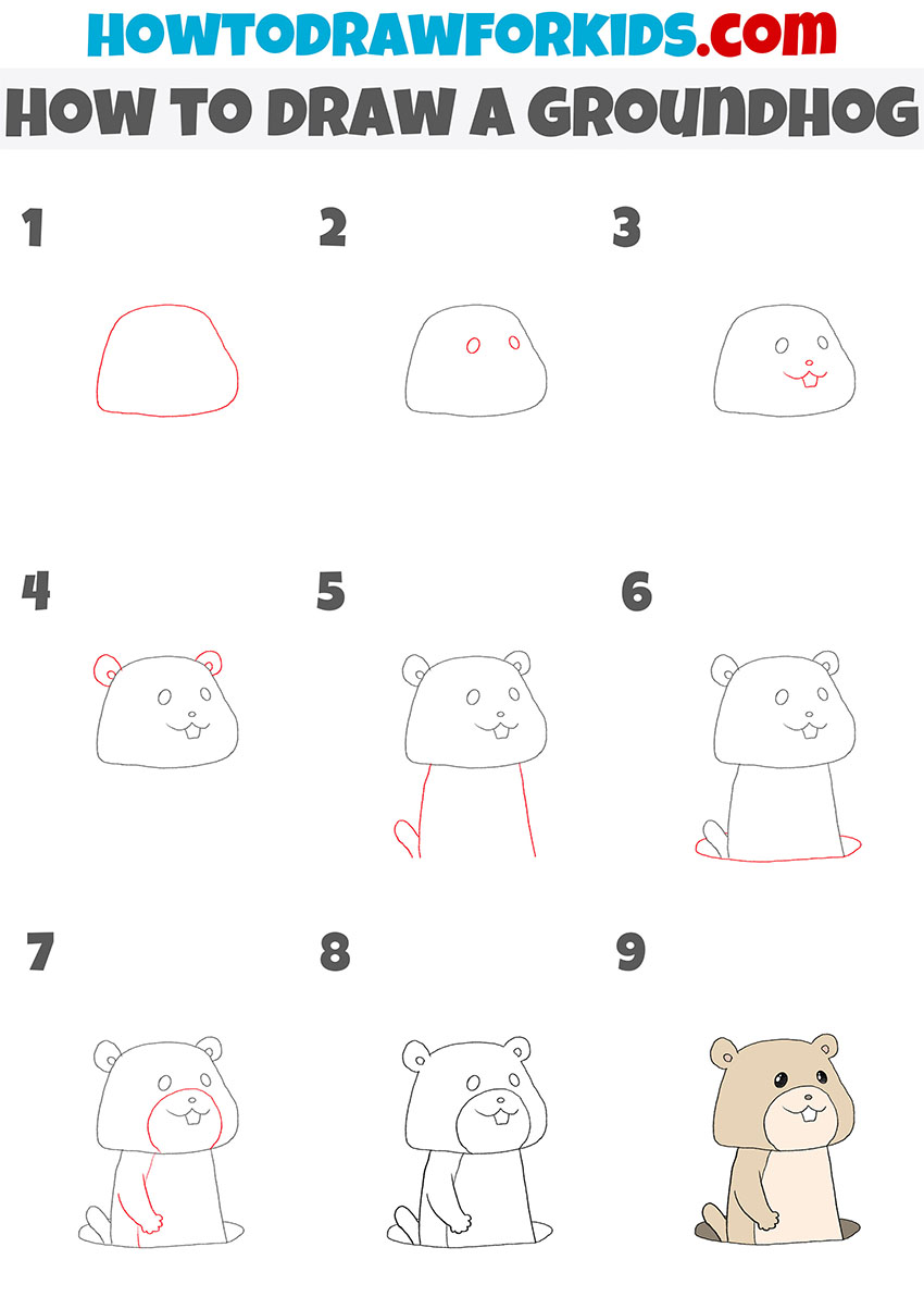 how to draw a groundhog step by step