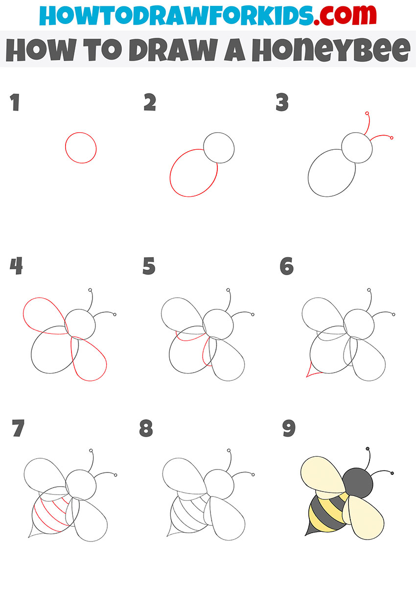 how to draw a honeybee step by step
