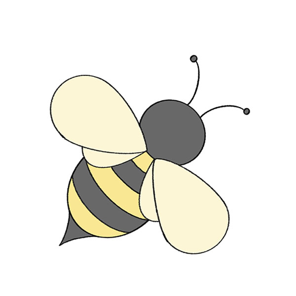 Illustration of European Honey Bee (Apis mellifera)-saigonsouth.com.vn
