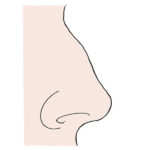 How to Draw a Human Nose