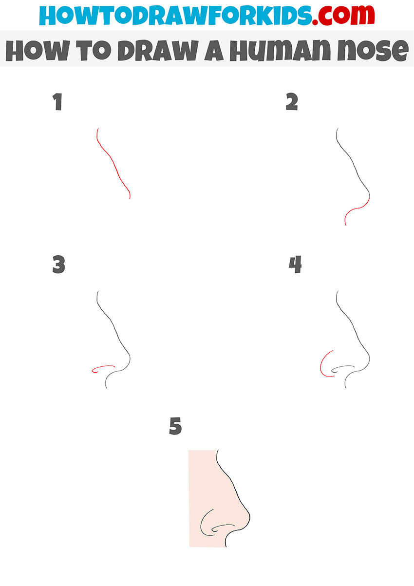 how to draw a human nose step by step