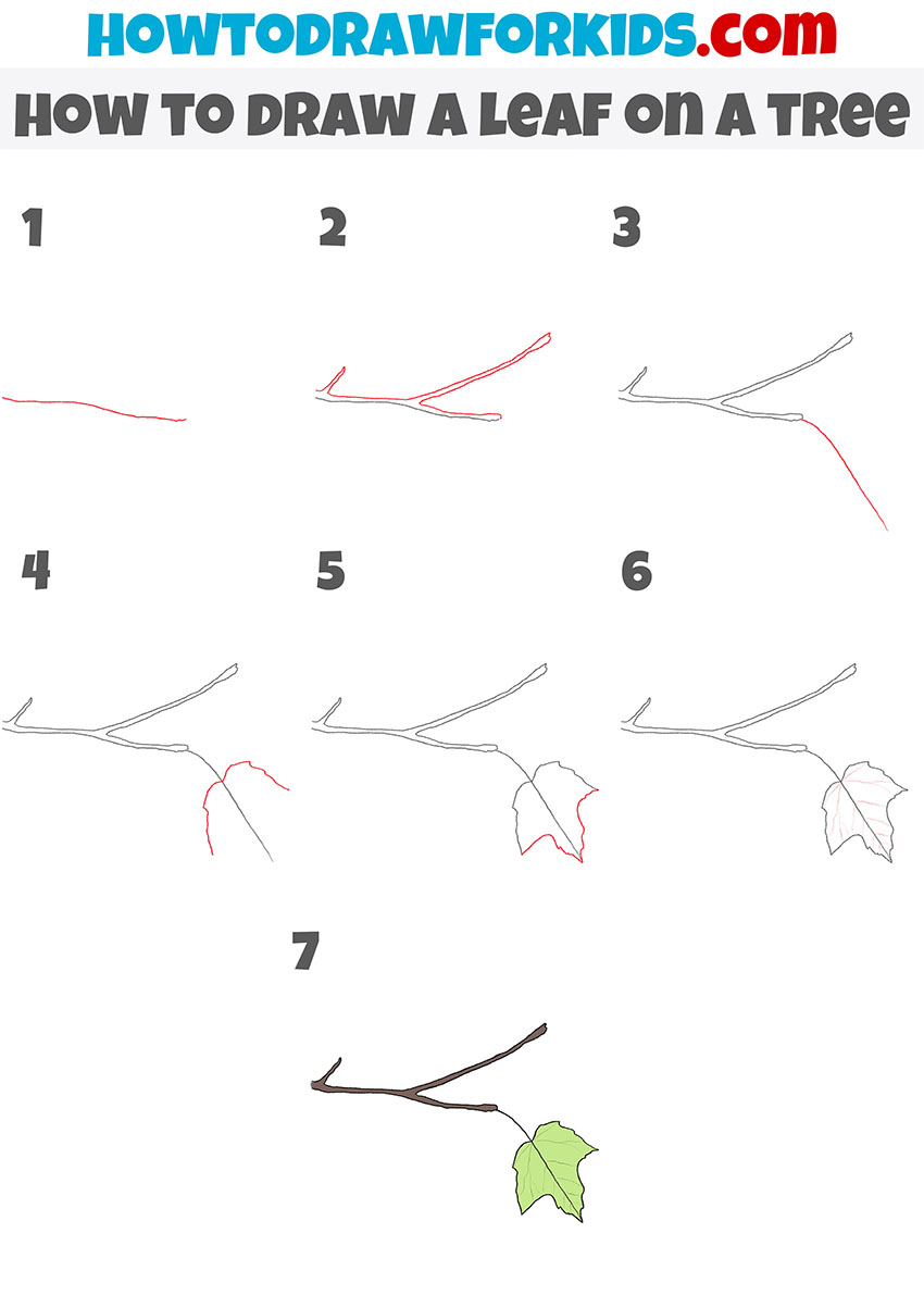 how to draw a leaf on a tree step by step