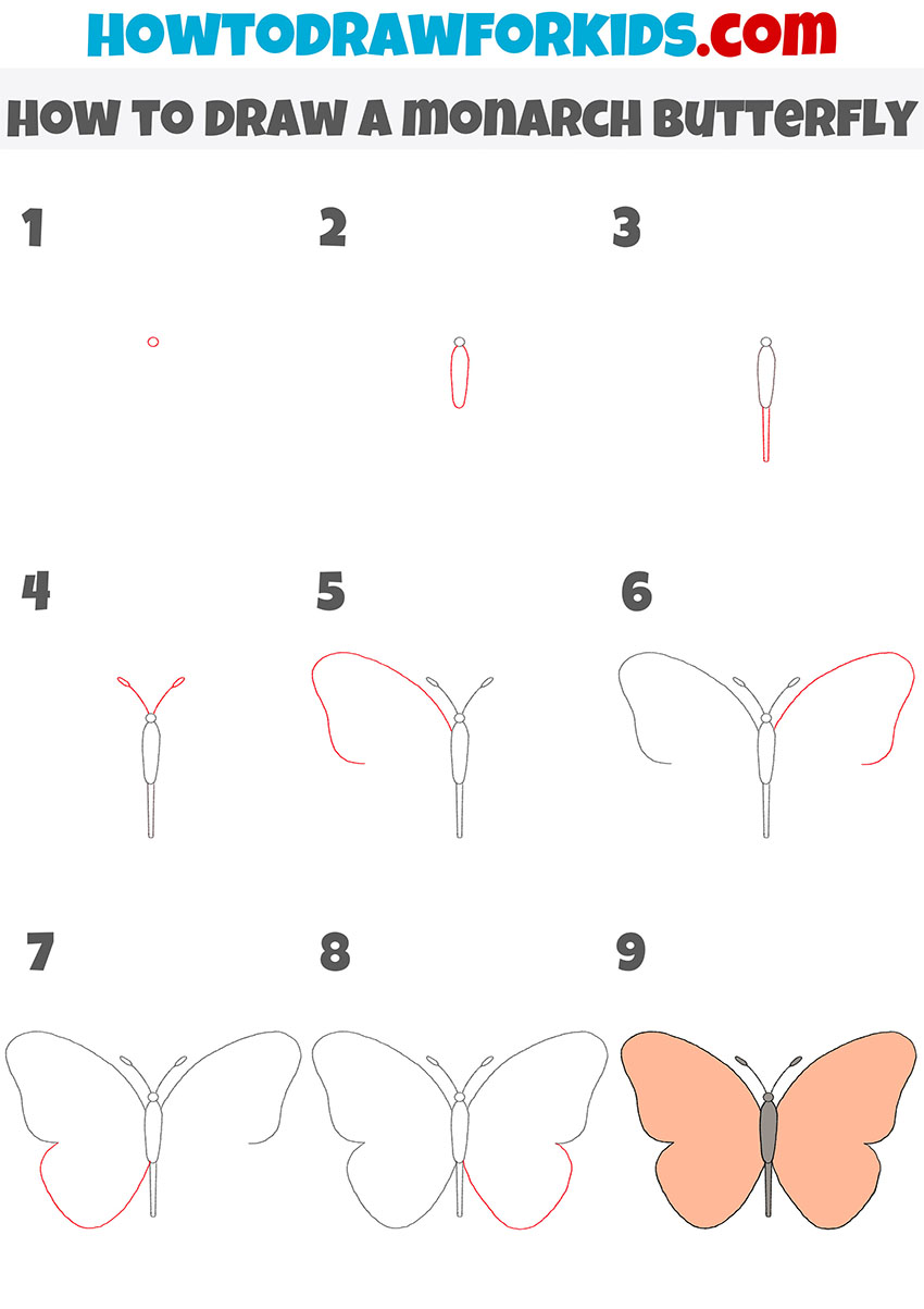 how to draw a monarch butterfly step by step