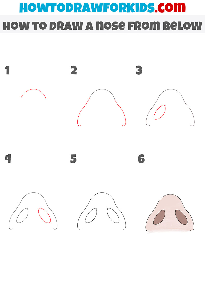 how to draw a nose from below step by step