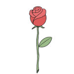 How to Draw a Rose for Beginners