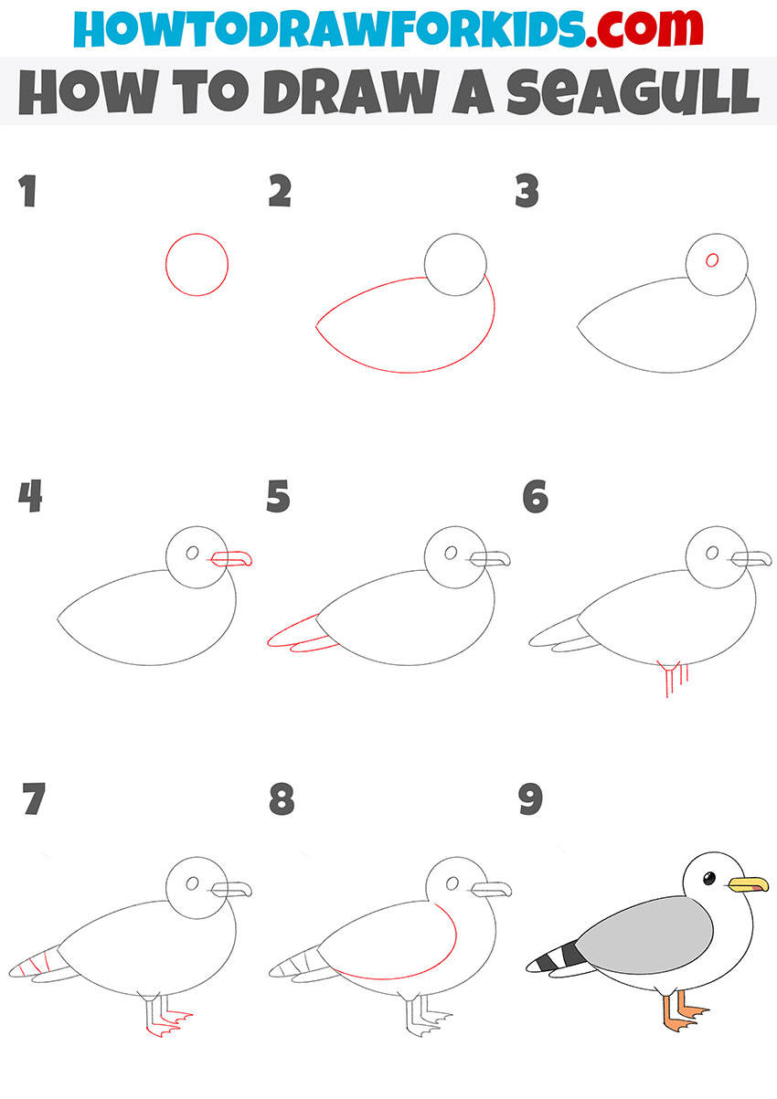 how to draw a seagull step by step