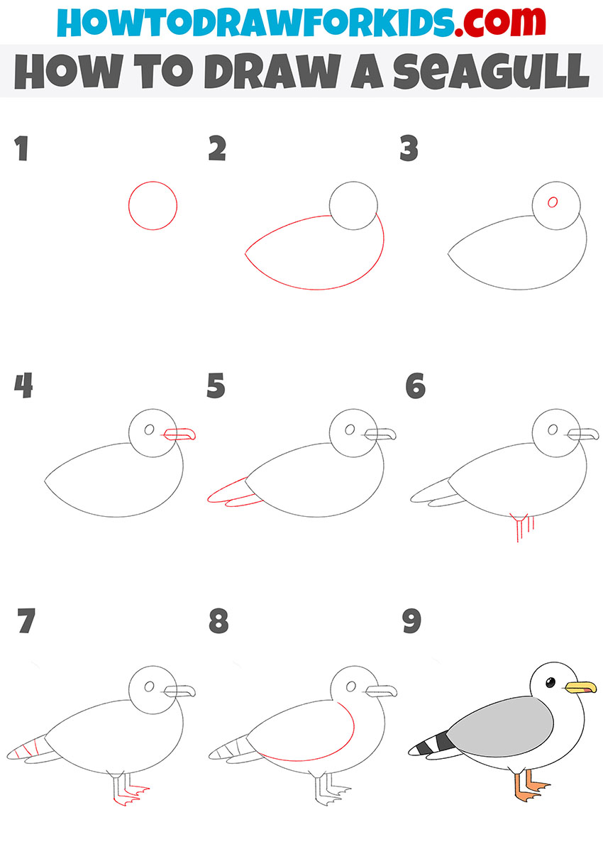 How to Draw a Seagull Easy Drawing Tutorial For Kids