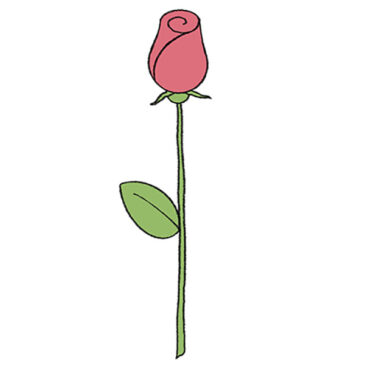 How to Draw a Simple Rose Step by Step