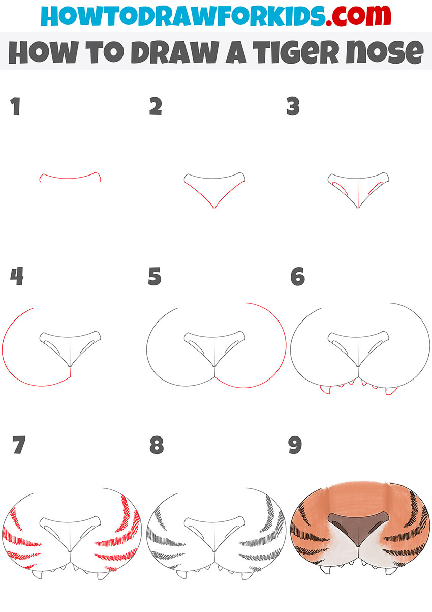 how to draw a tiger nose step by step