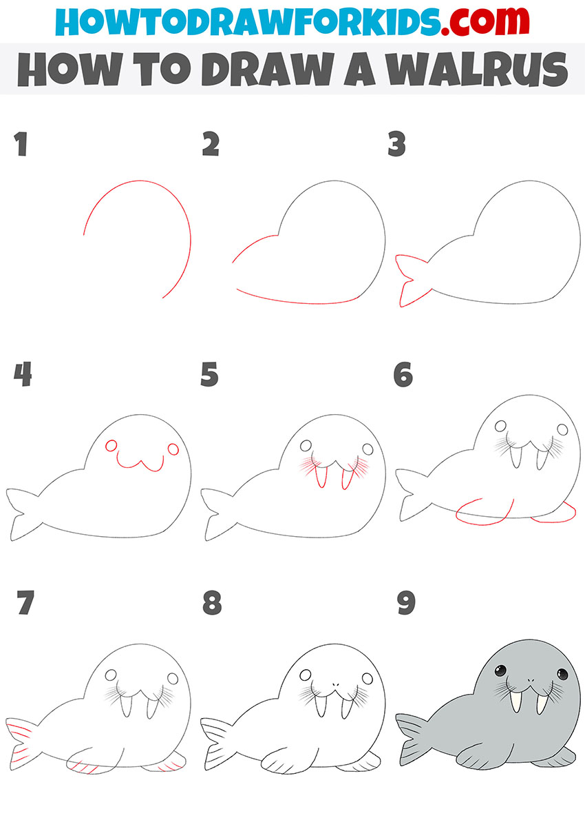 how to draw a walrus step by step