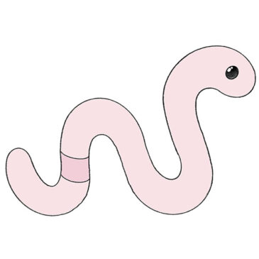 How to Draw a Worm