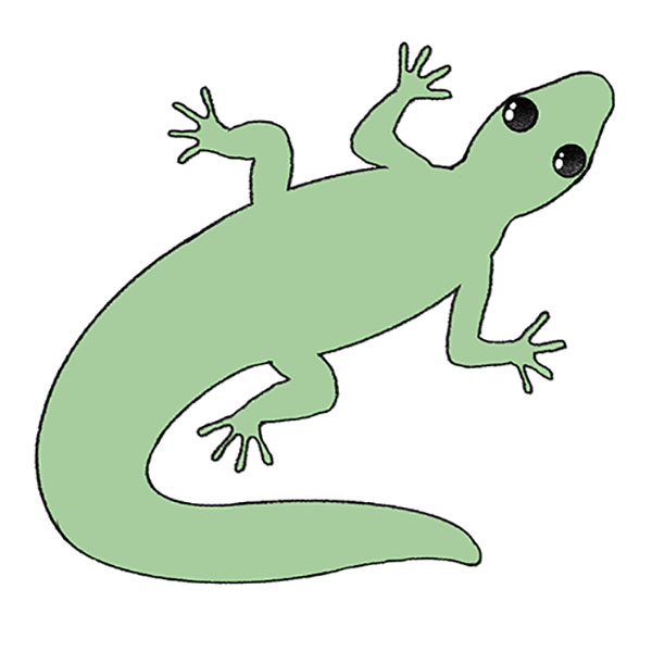 How to Draw an Easy Lizard