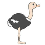 How to Draw an Ostrich