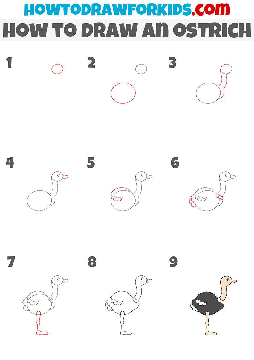 how to draw an ostrich step by step