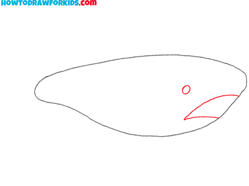 how to draw a megalodon realistic