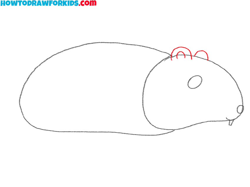 how to draw a hamster realistic