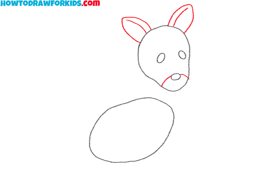 how to draw a kangaroo realistic