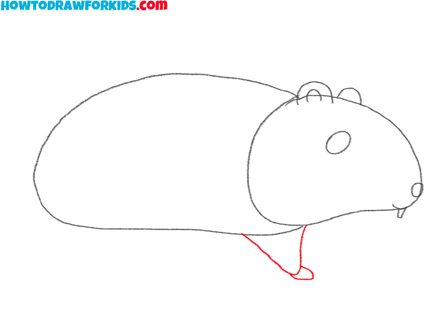 how to draw a hamster art hub