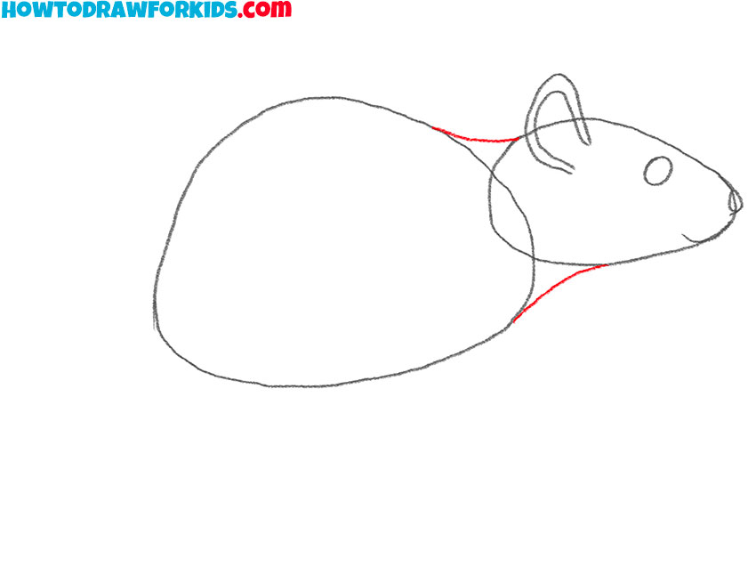 how to draw a rat for beginners