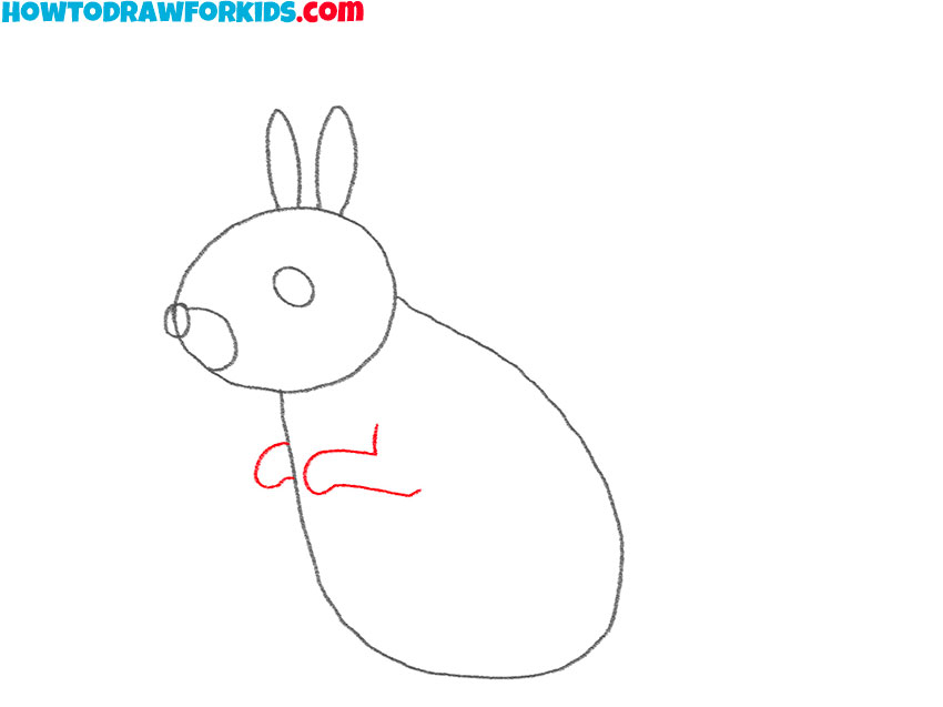 how to draw a squirrel for kids