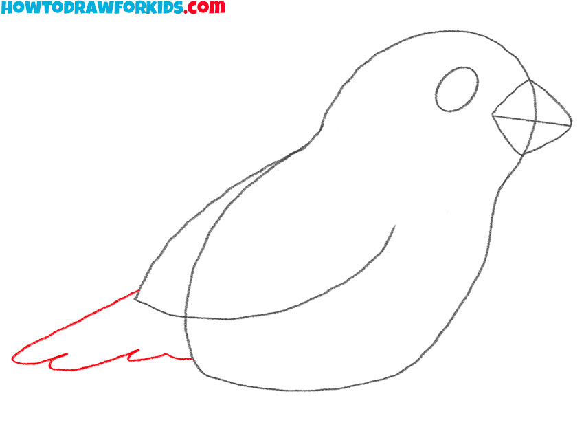 how to draw a bird easy for beginners