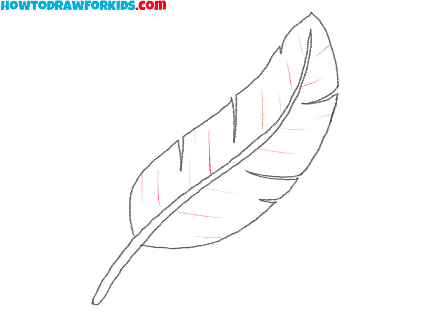 how to draw a cartoon feather