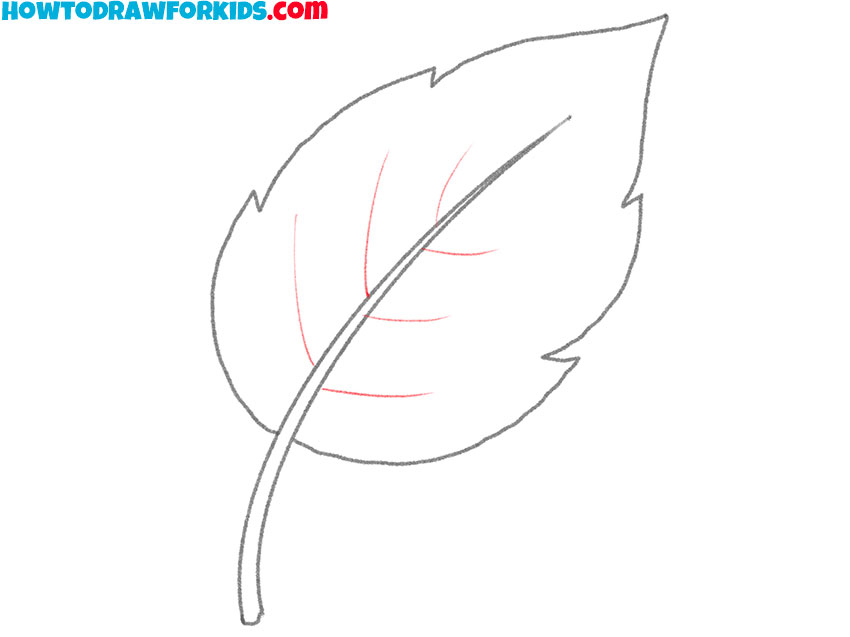 how to draw a leaf step by step for beginners