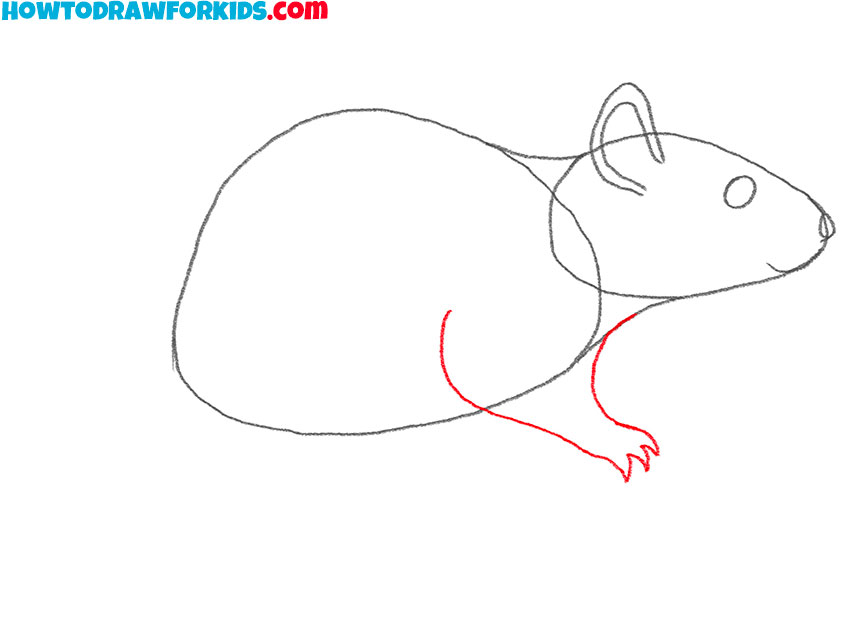how to draw a rat cartoon