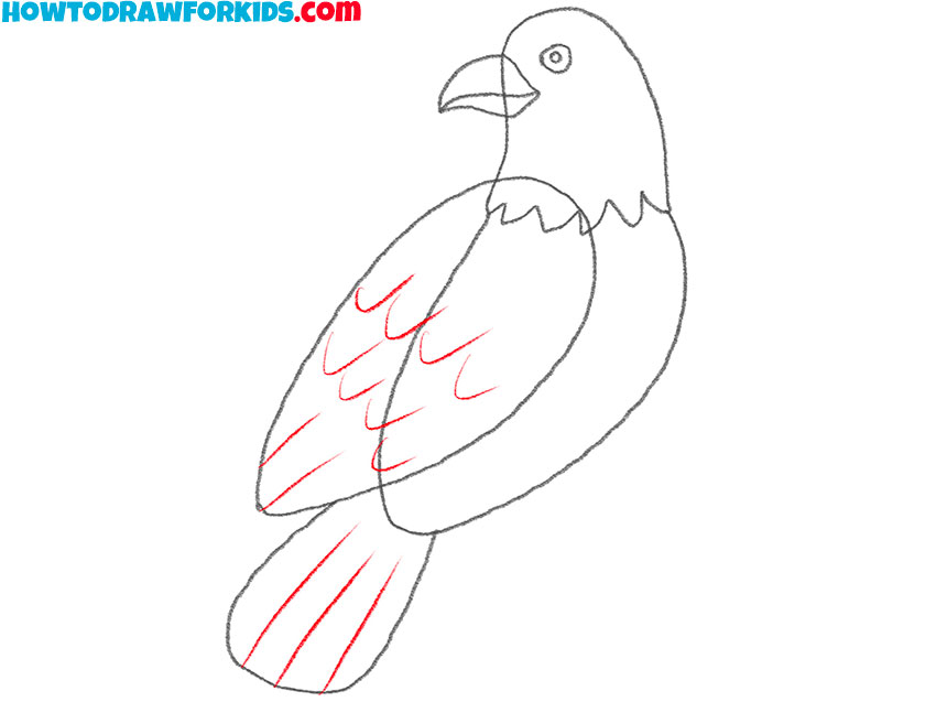 how to draw an eagle easily