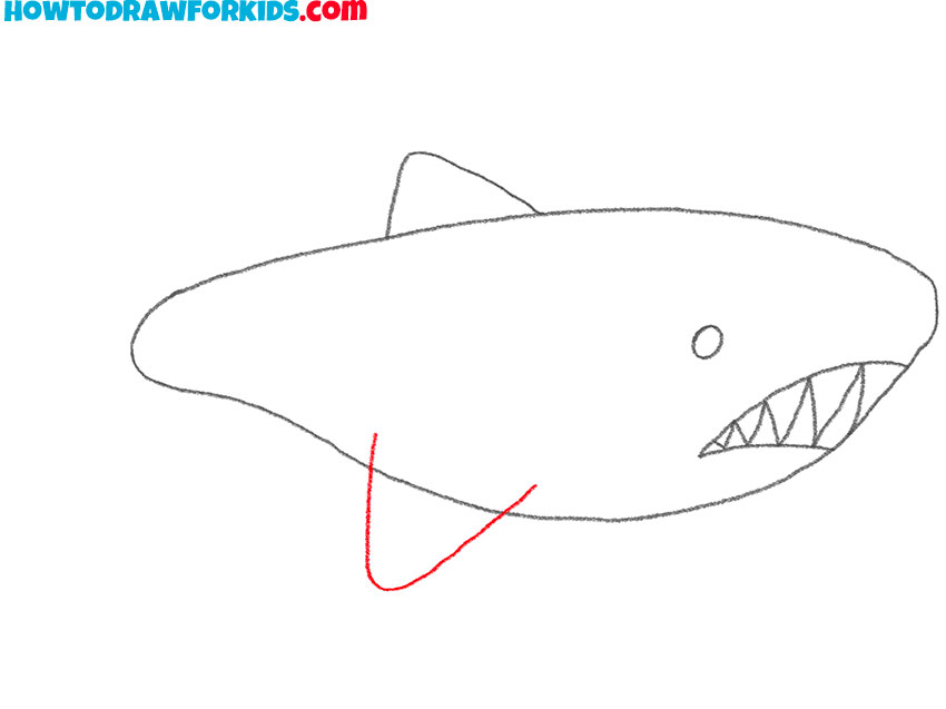 how to draw a big megalodon