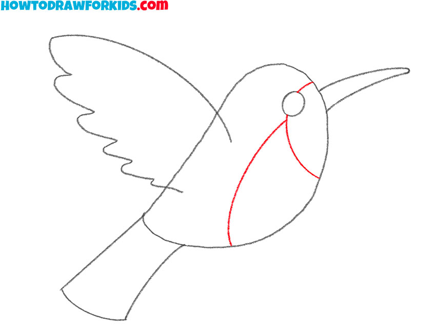 how to draw a cartoon hummingbird easy