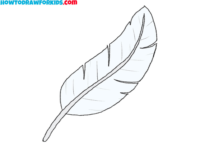 How to Draw a Feather - Easy Drawing Art