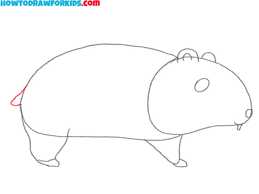 how to draw a cute hamster easy