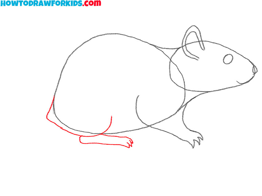 how to draw a cute rat easy