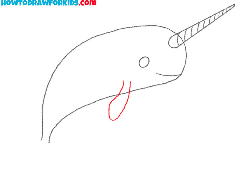 how to draw a narwhal cartoon