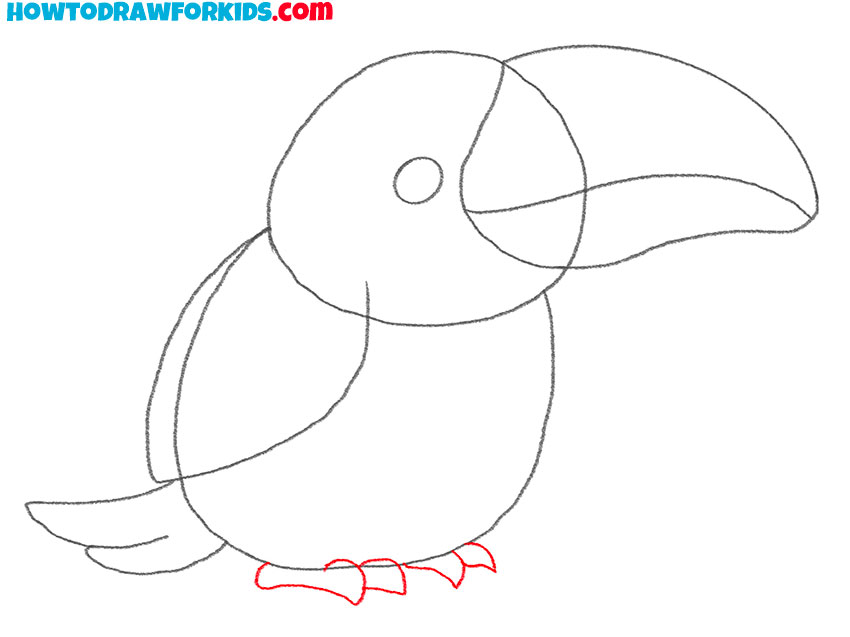 how to draw a realistic toucan